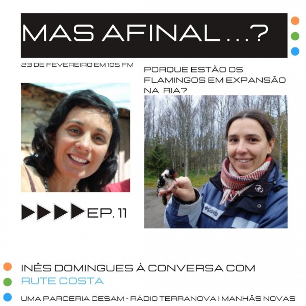 Mas afinal…? na Rádio Terra Nova com Rute Costa