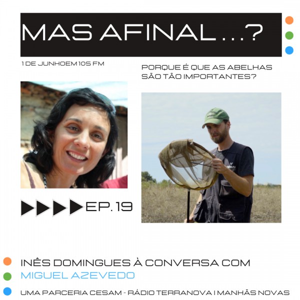 Mas afinal…? na Rádio Terra Nova com Miguel Azevedo