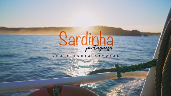 Documentário com marca CESAM: Segunda-feira, dia 11 de julho, às 22h45 na RTP 1 (22:30h na RTP Internacional)