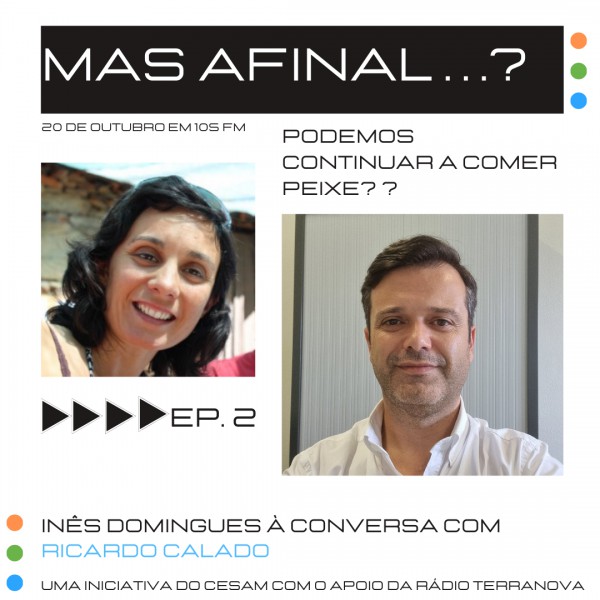 Mas afinal…? na Rádio Terra Nova