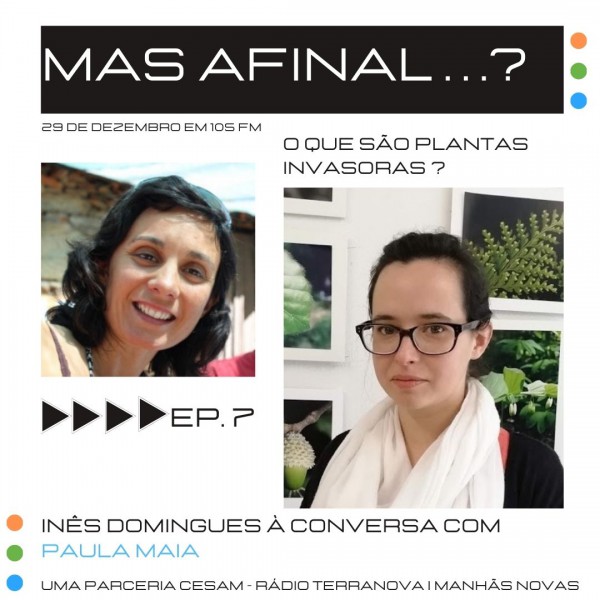 Mas afinal…? na Rádio Terra Nova com Paula Maia