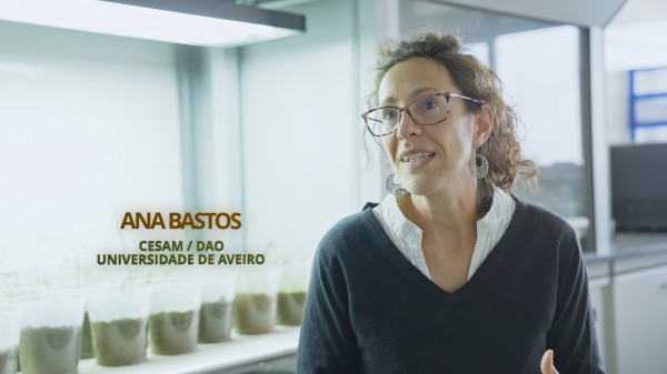 CESAM celebra o Dia Mundial do Solo – conversa com Ana Bastos