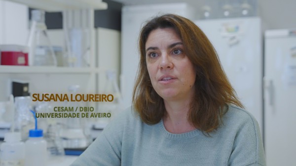 CESAM celebrates the World Soil Day – brief talk with Susana Loureiro