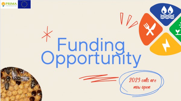 PRIMA 2023 calls are OPEN