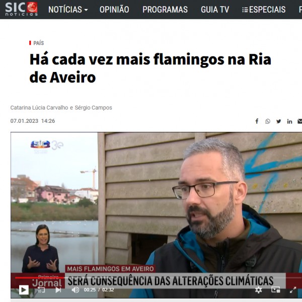 Investigador do CESAM na “Reportagem SIC” do Primeiro Jornal