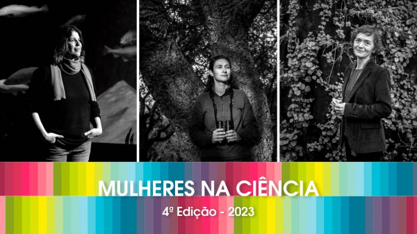 Investigadoras CESAM presentes no livro “Mulheres na Ciência”