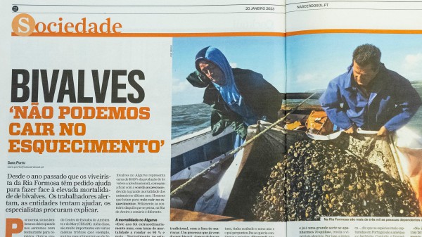 Investigadora CESAM aborda a mortalidade de bivalves no Semanário SOL