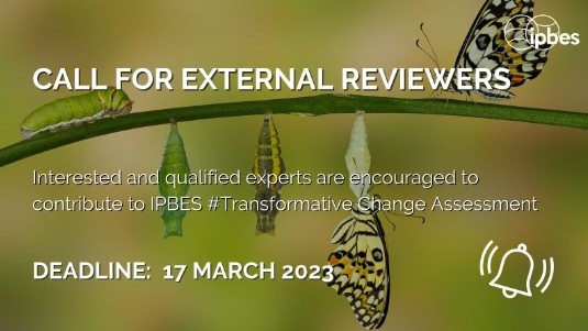 First external review of the IPBES transformative change assessment