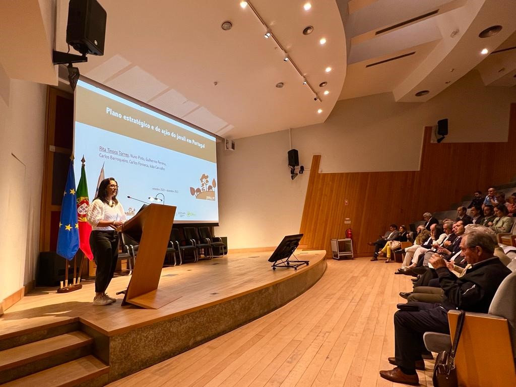 Rita Torres (CESAM/DBIO) apresenta publicamente o ‘Plano Estratégico e de Ação do Javali em Portugal’ 