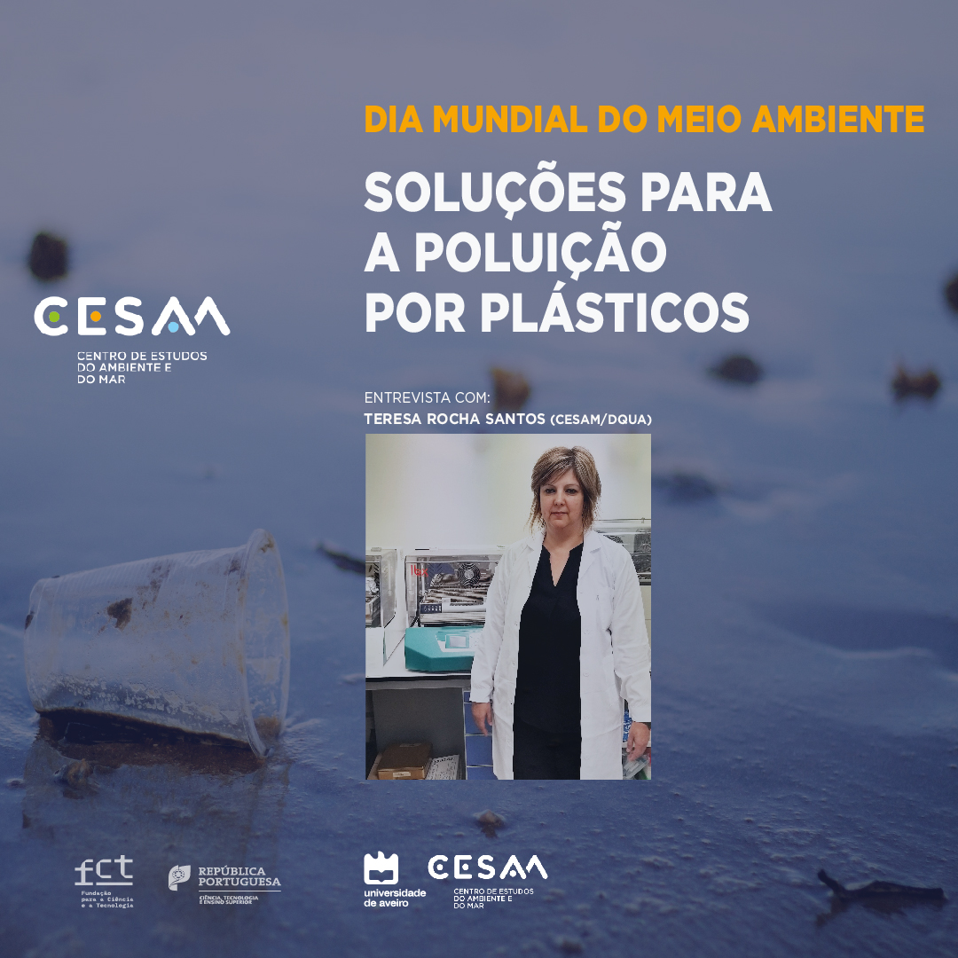 Teresa Rocha Santos (CESAM/DQUA) aborda a temática da poluição por plásticos