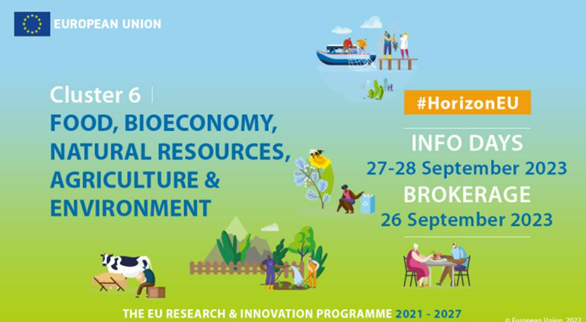 Horizonte Europa – Concurso para o Cluster 6: “Alimentação, bioeconomia, recursos naturais, agricultura e ambiente”