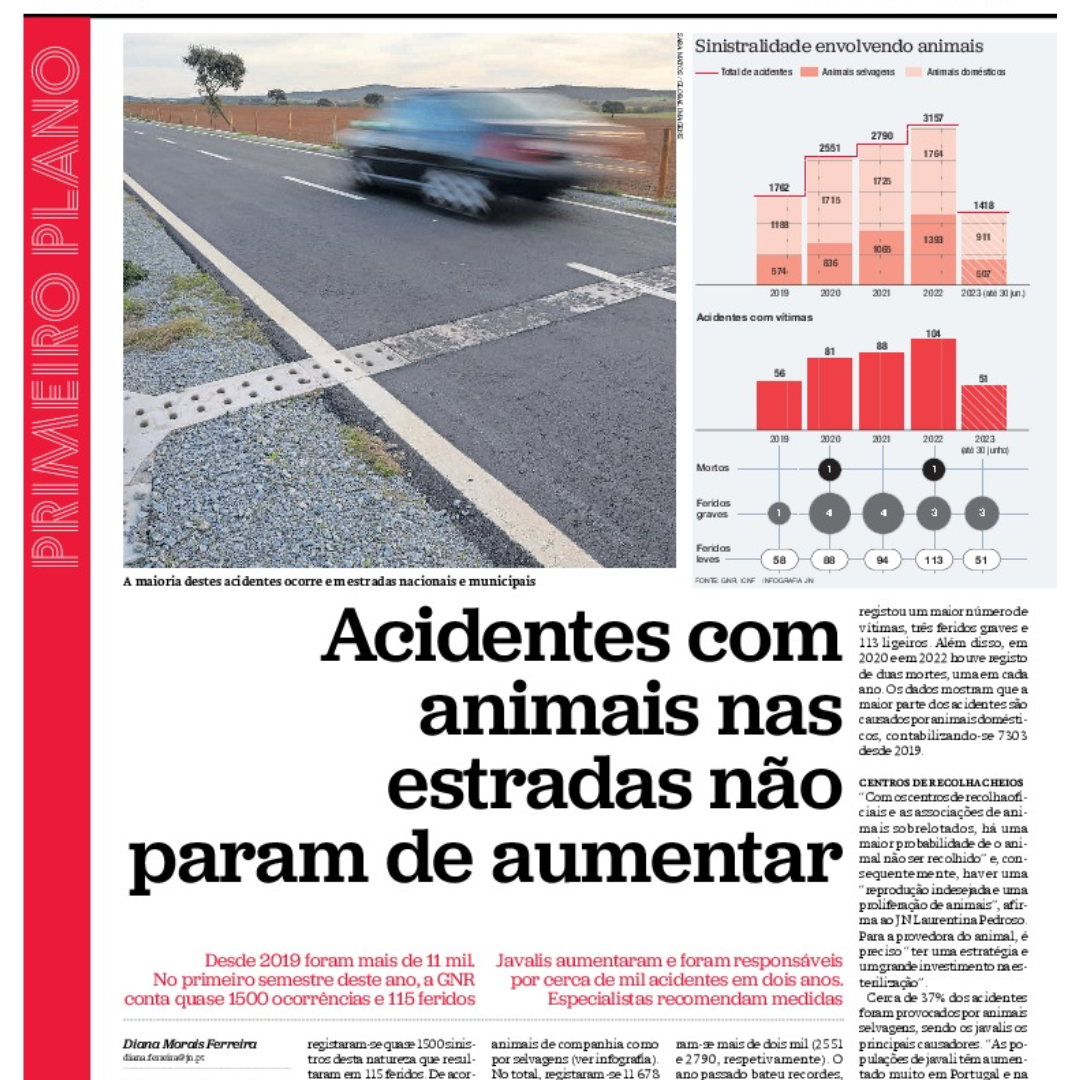 Rita Torres (CESAM/DBio) em entrevista ao JN fala sobre o Aumento de Acidentes Rodoviários com Javalis em Portugal