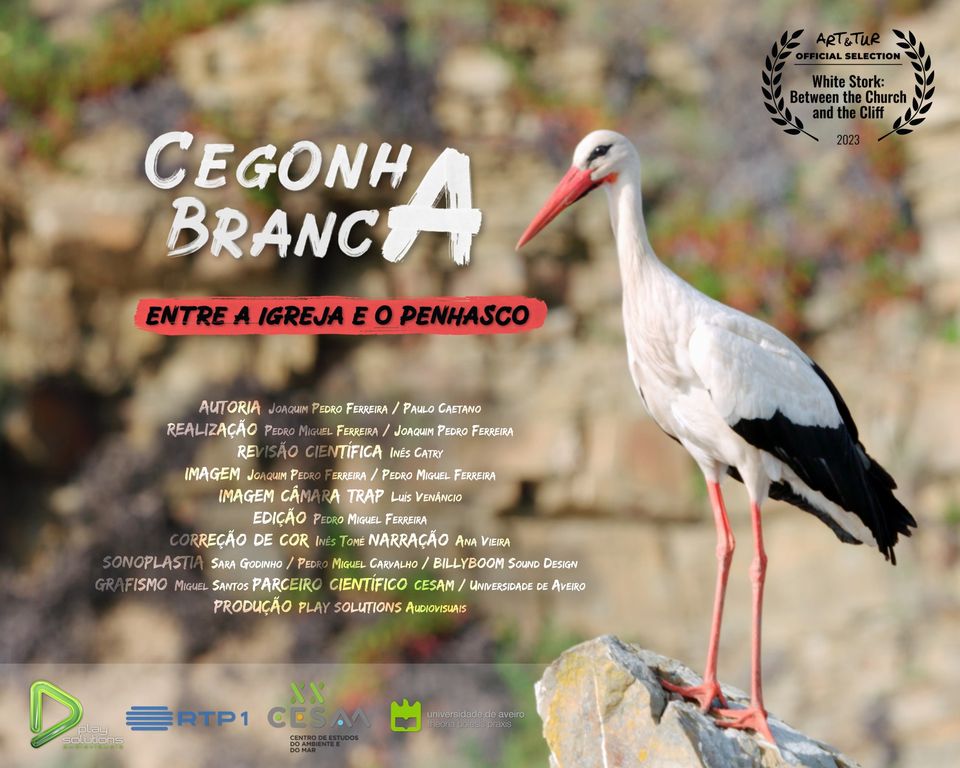 Documentário “Cegonha-Branca. Entre A Igreja E O Penhasco” Estreia na RTP1 – Dia 20 Novembro às 23:00