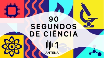 Susana Loureiro (CESAM/DBio) no programa “90 segundos de ciência” da Antena 1