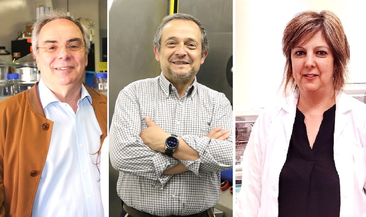 Três investigadores da UA entre os mais influentes do mundo: dois são membros do CESAM