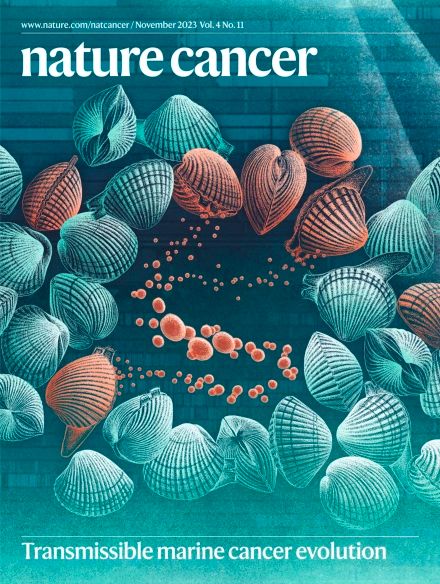 Artigo científico com autores CESAM é Capa da Revista Nature Cancer