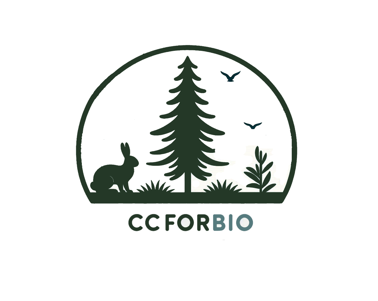 Ecological Corridors in Forest Plantations: CCforBio-CESAM, Contribution to Biodiversity, Sustainability, and Capacity Building for Students from PALOP Countries.